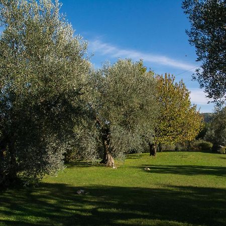 La Sassaia Villa Carmignano Buitenkant foto