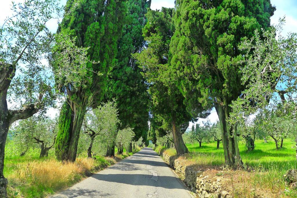 La Sassaia Villa Carmignano Buitenkant foto